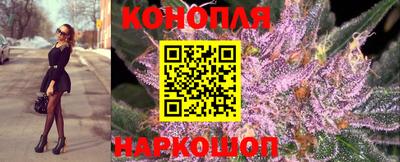 jwh Гай